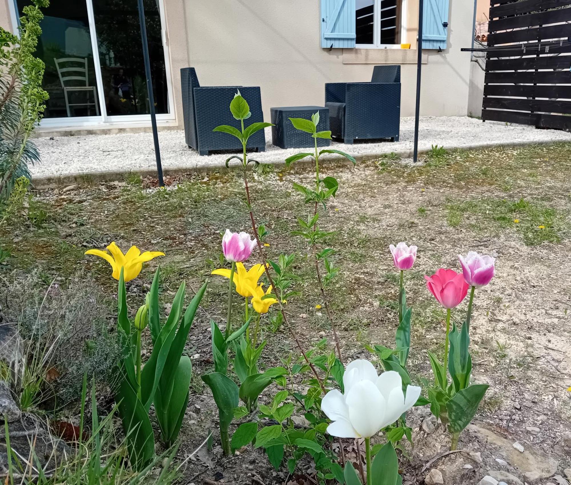 Gite Sittelle Parking Prive Linge Fourni Malaucène Esterno foto